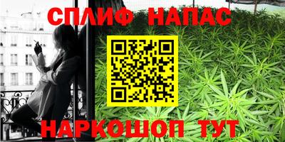 прущие грибы Пенза
