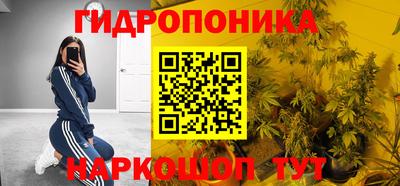 прущие грибы Пенза
