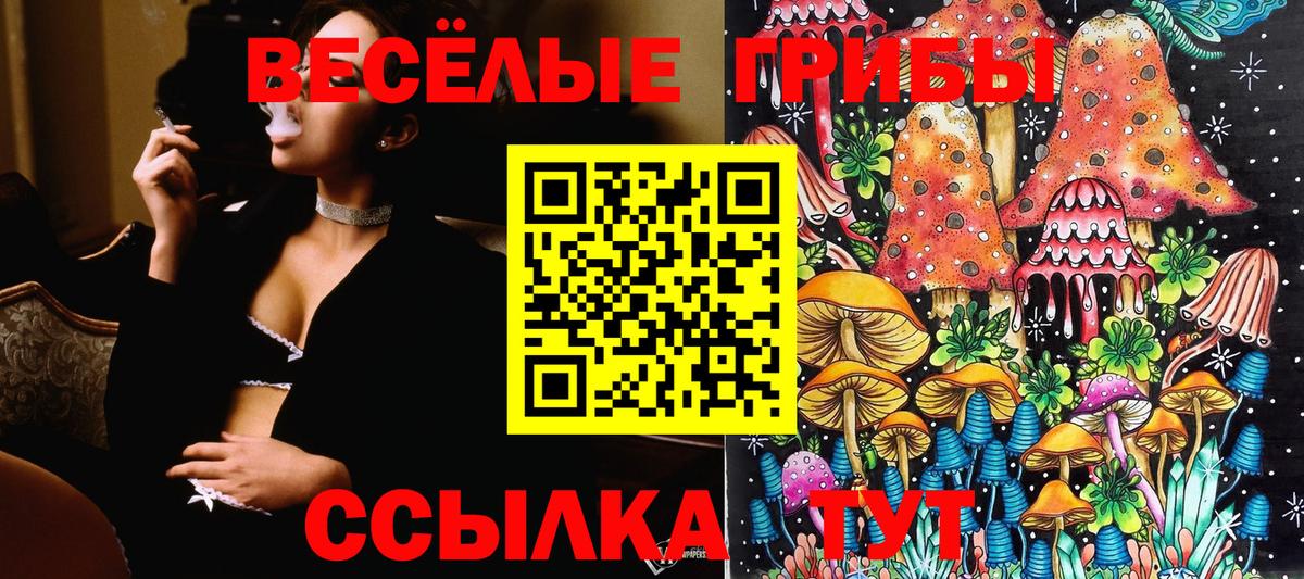 Светлоград  Псилоцибиновые грибы Psilocybe  Вход с VPN 