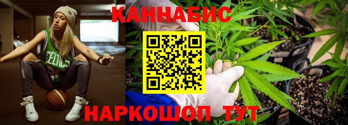 Бошки Шишки сатива  Вход с VPN  МАРИХУАНА SATIVA & INDICA  Конопля индика  Светлоград  Каннабис ГИДРОПОН 